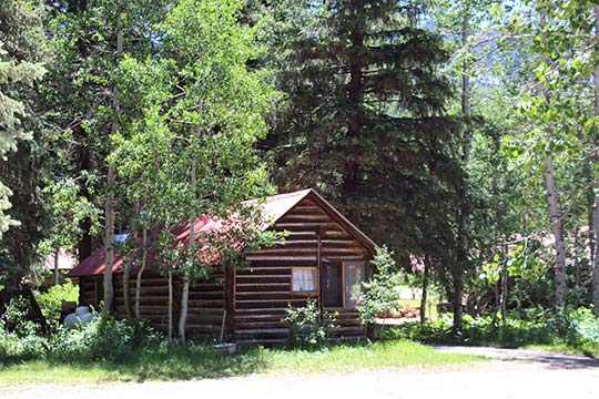 Aspen rental cabin in the trees