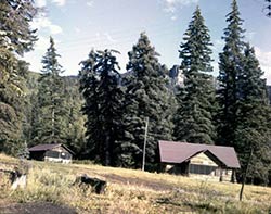 history: cabins with Bootjack peeking through trees